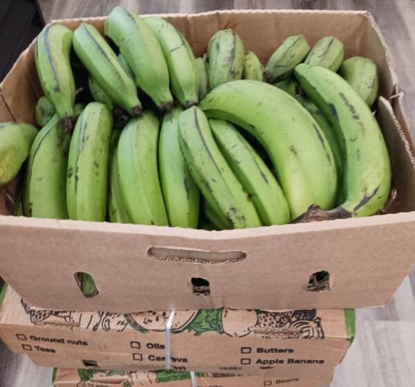 Matooke frais kg